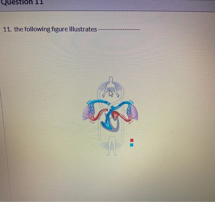 Solved Question 11 11. the following figure illustrates | Chegg.com