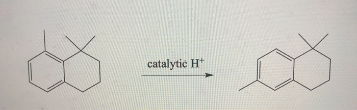 Solved catalytic H+ | Chegg.com