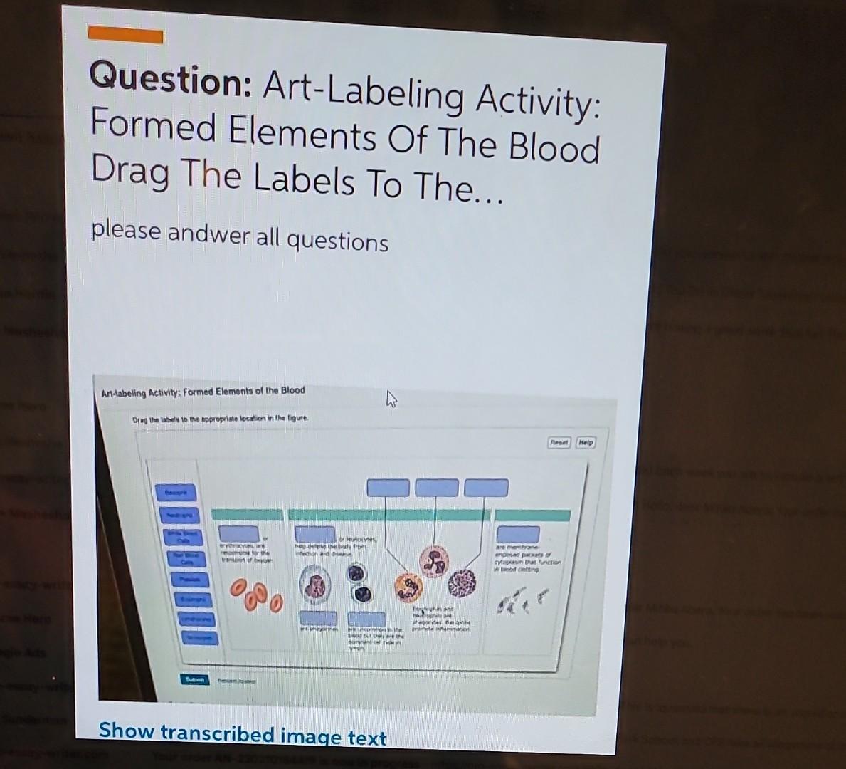 Unlock Blood Secrets Engaging Art Labeling Activity - 0yqu8qb