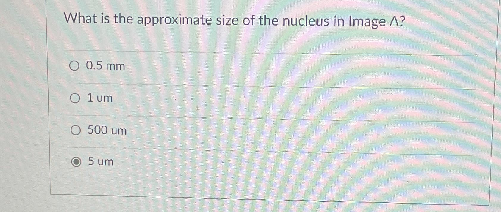 Solved What is the approximate size of the nucleus in Image | Chegg.com