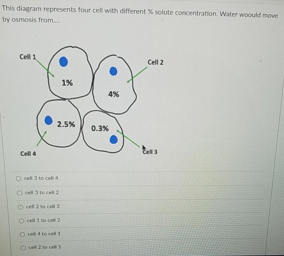 Solved This diagram represents four cell with different % | Chegg.com