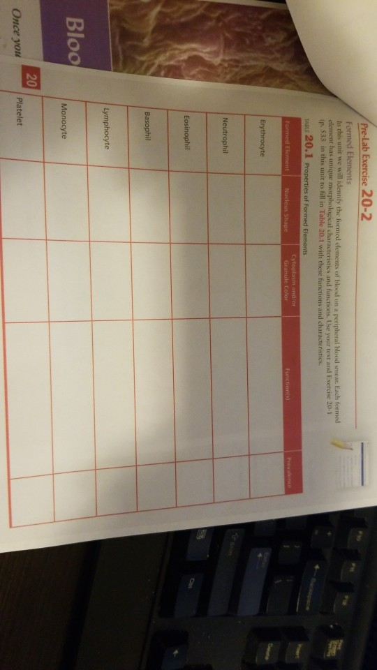 Solved PreLab Exercise 202 Formed Elements In this unit we