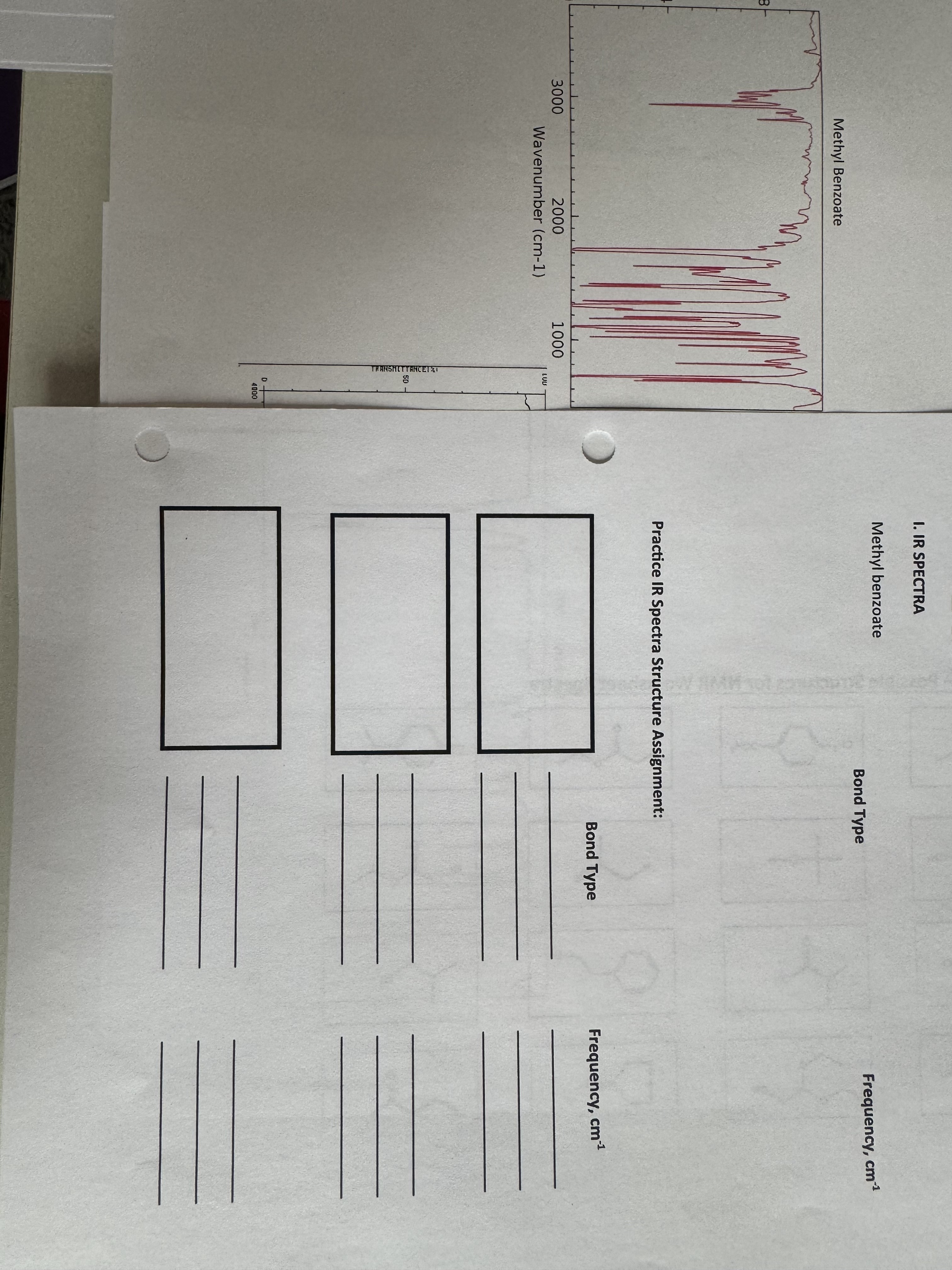 Solved Please help answer the following page using the graph | Chegg.com
