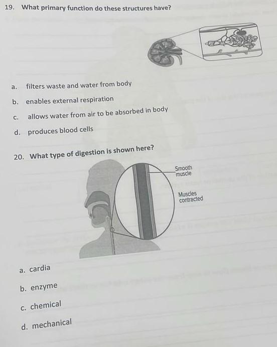 Solved please answer all the parts of the questions on the | Chegg.com
