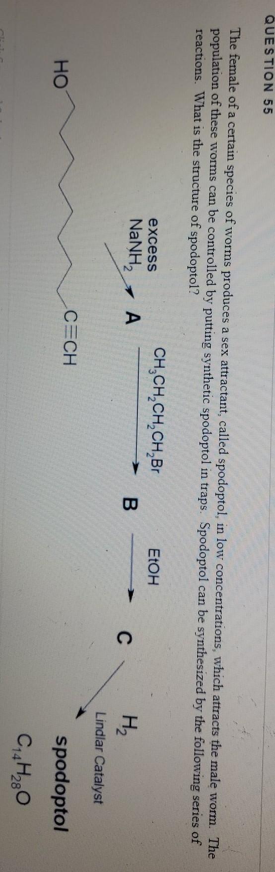 Solved QUESTION 55 The female of a certain species of worms | Chegg.com