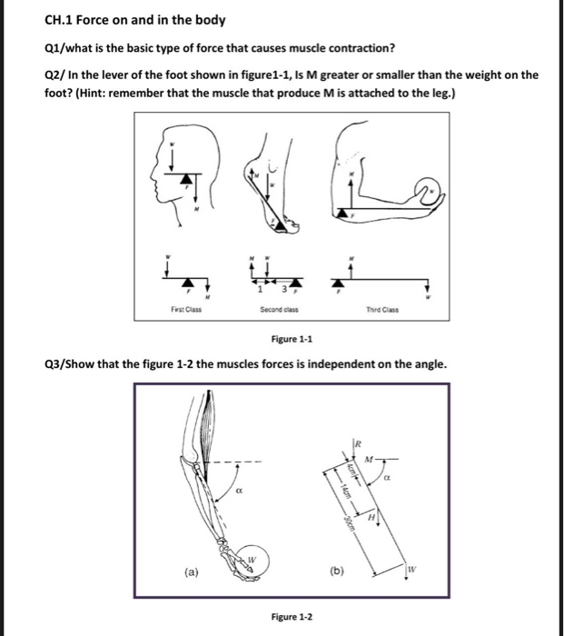 Solved CH.1 Force on and in the body Q1/what is the basic | Chegg.com