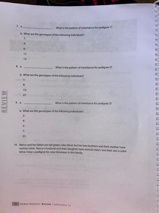 Solved LABORATORY 12 HUMAN GENETICS NAME: DATE: Review | Chegg.com