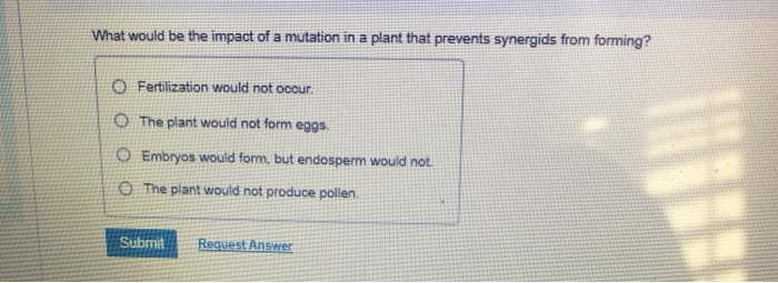 Solved What would be the impact of a mutation in a plant | Chegg.com