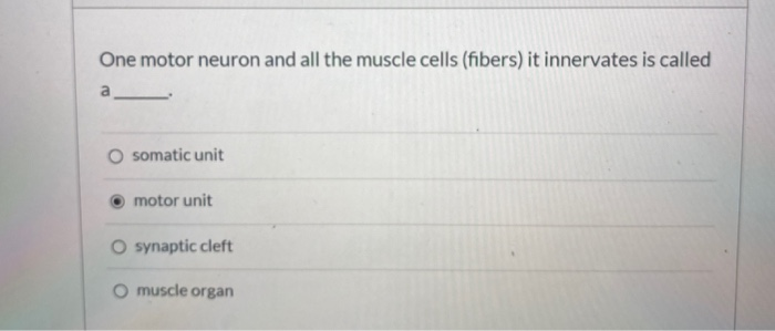 Solved One motor neuron and all the muscle cells (fibers) it | Chegg.com