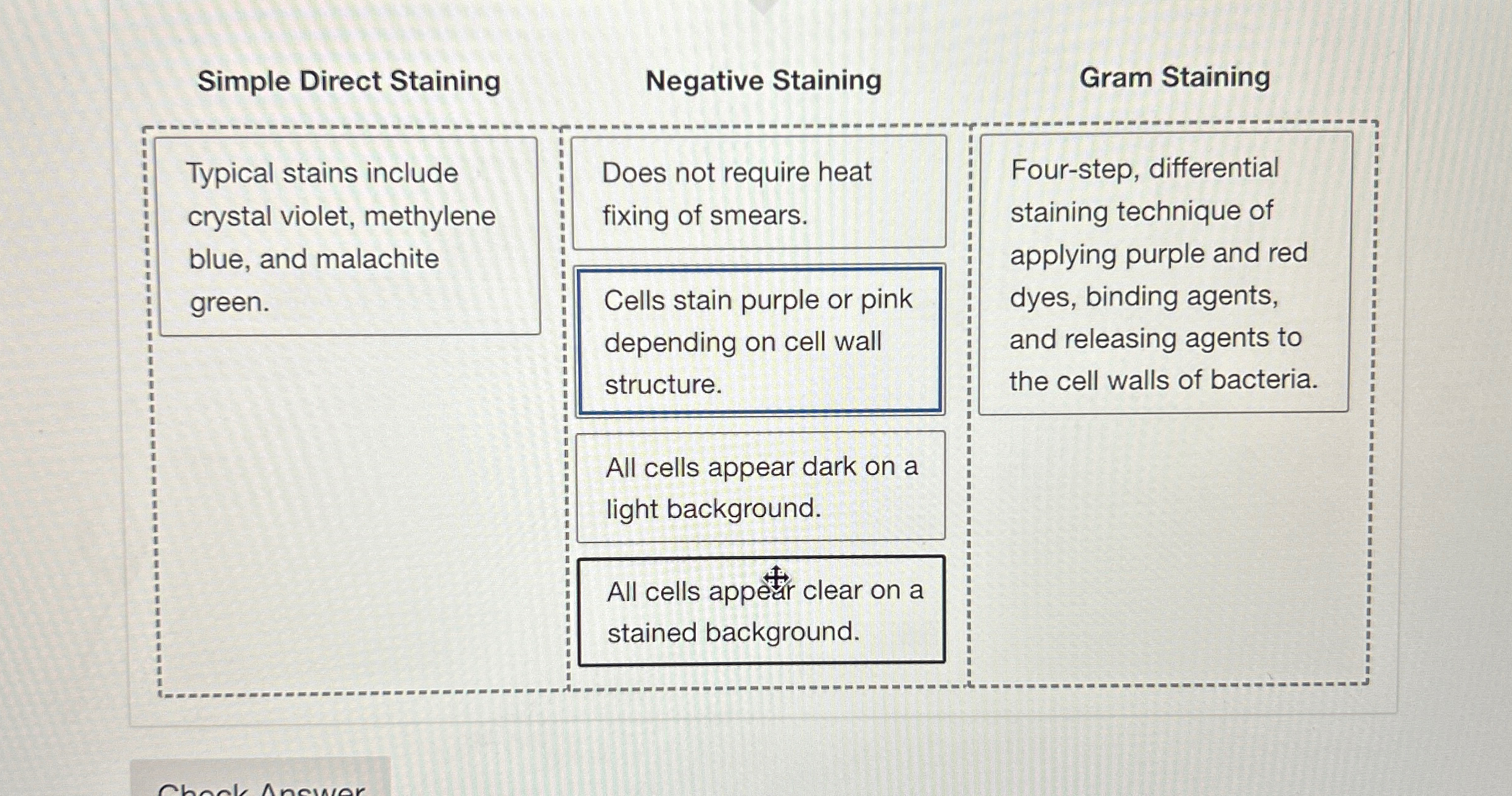 Solved Simple Direct StainingTypical stains include crystal | Chegg.com