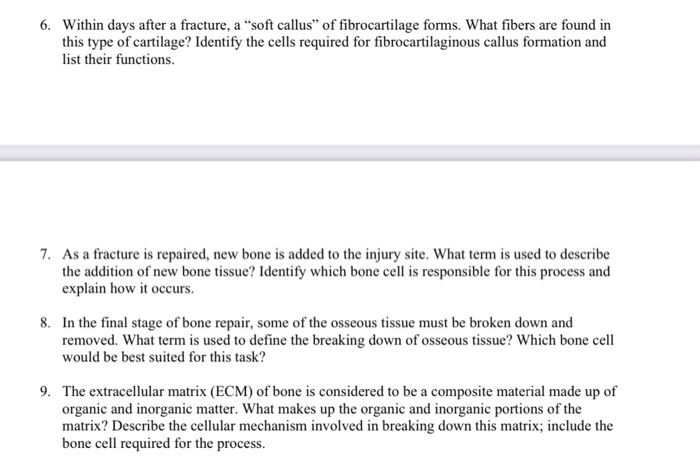 Solved 6. Within days after a fracture, a “soft callus" of | Chegg.com