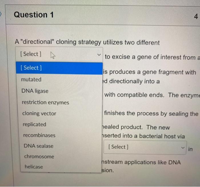 Solved Question 1 4 pts A "directional cloning strategy | Chegg.com