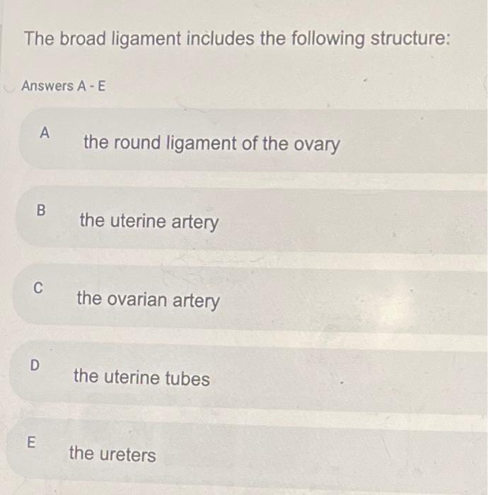 The broad ligament includes the following structure:
Answers A-E
A the round ligament of the ovary
B the uterine artery
c the