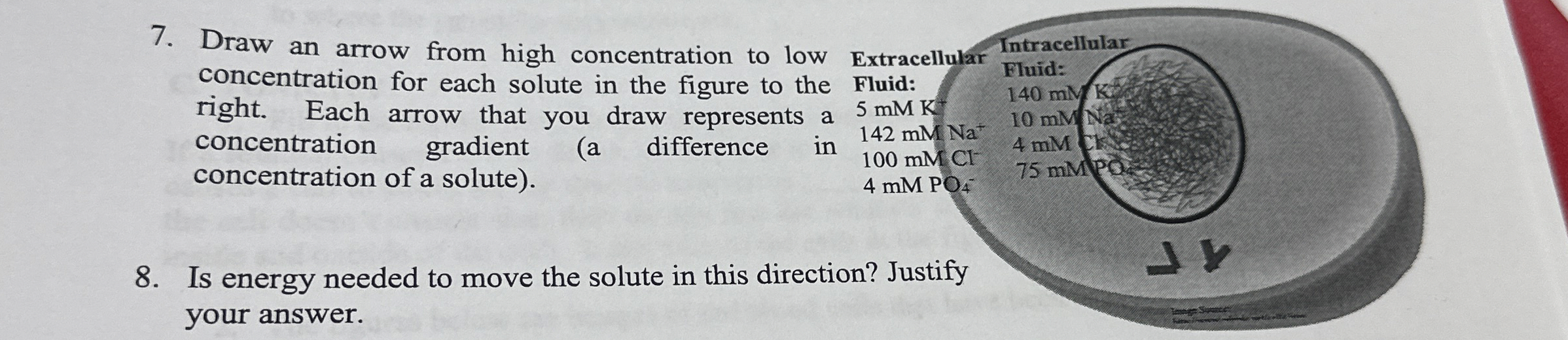 Solved Draw an arrow from high concentration to | Chegg.com