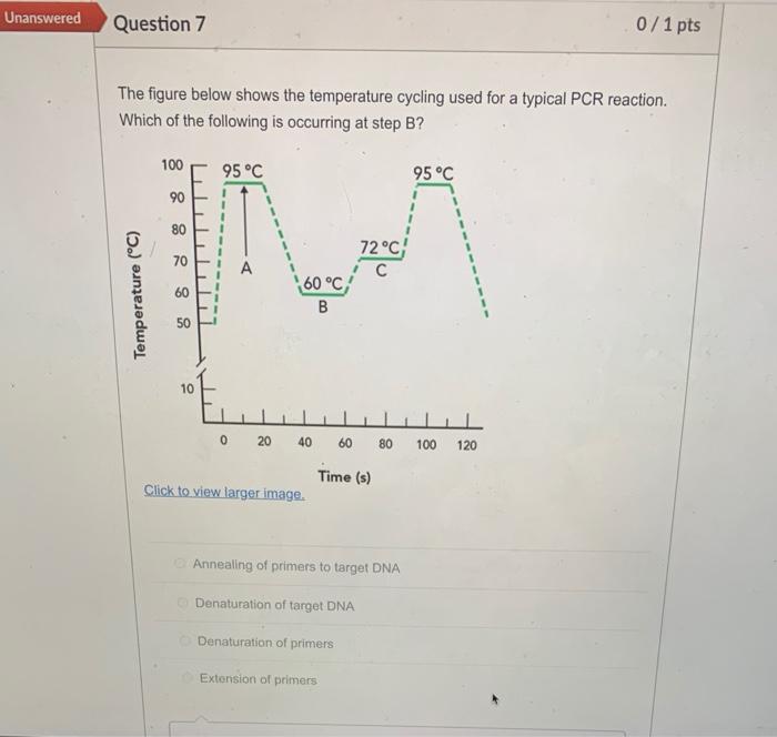 Solved Question 6 0/1 pts The figure below shows a | Chegg.com