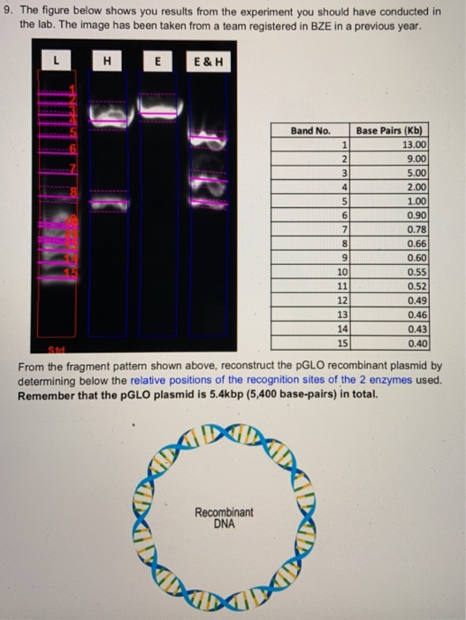 9. The figure below shows you results from the | Chegg.com