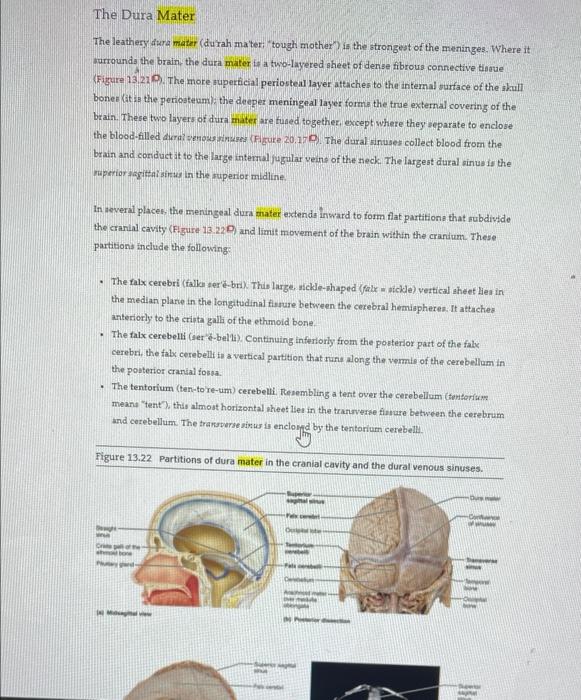 Solved 9. Define lobe, sulci, gyrus and fissure. List the