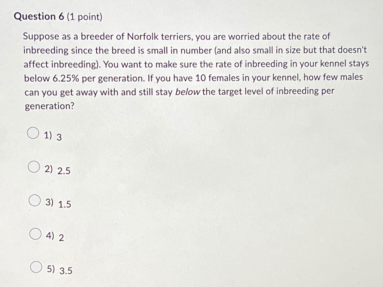 Solved Question 6 1 ﻿point Suppose As A Breeder Of Norfolk