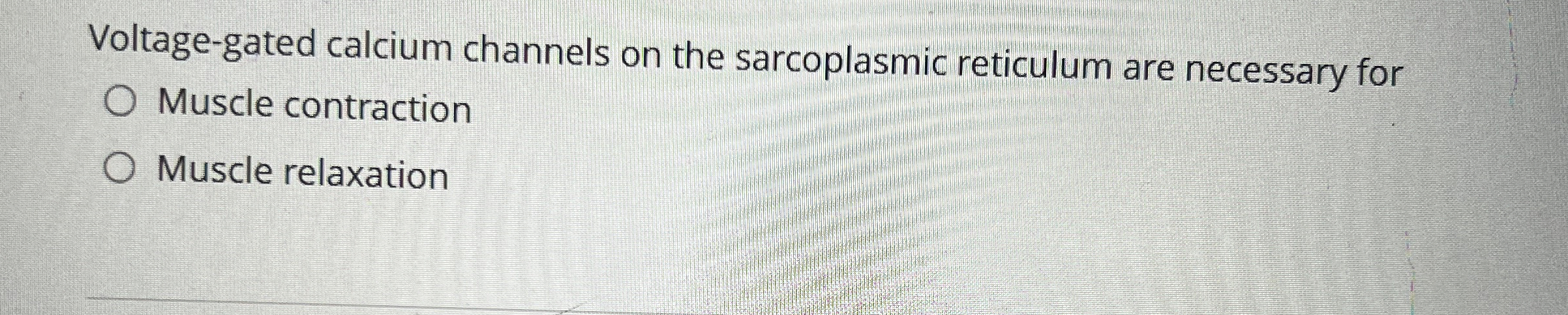 Solved Voltage-gated calcium channels on the sarcoplasmic | Chegg.com