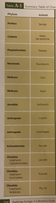 Table A-1 Summary Table of Char Phylum Animal | Chegg.com