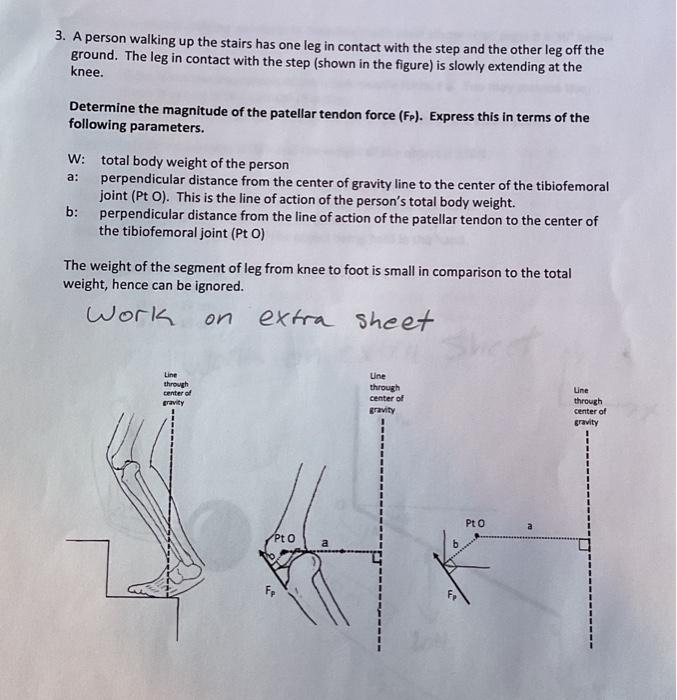 Solved 3. A person walking up the stairs has one leg in | Chegg.com