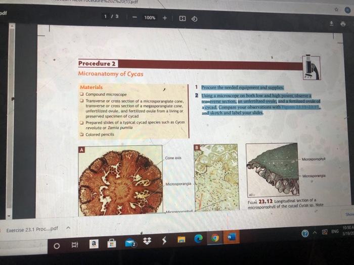 2001).pdt pdf 1/3 100% + Procedure 2 Microanatomy of | Chegg.com