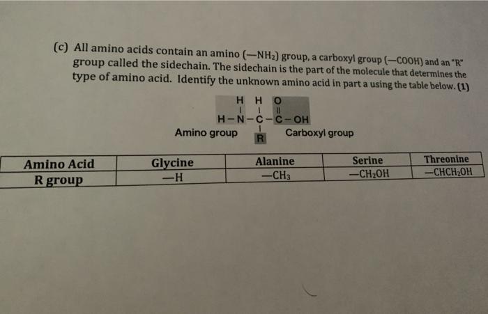 Solved 6. Amino acids are the building blocks of proteins. A | Chegg.com