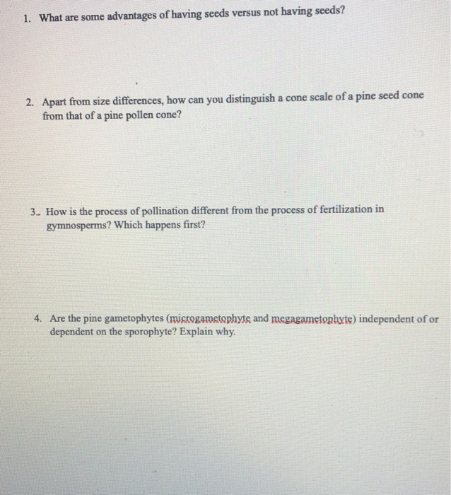 5. What is the function of the pollen tube? The