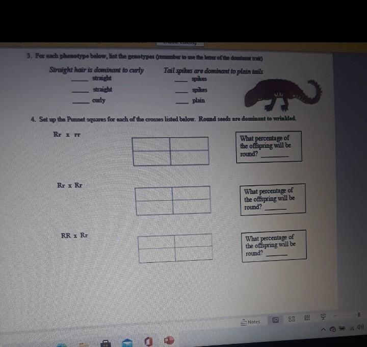 Solved Name 2: Genetics Problem Set Genetics Practice | Chegg.com