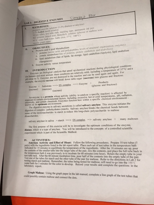 Solved dur LAB DIGESTIVE ENZYMES Simanit MATERIALS and une