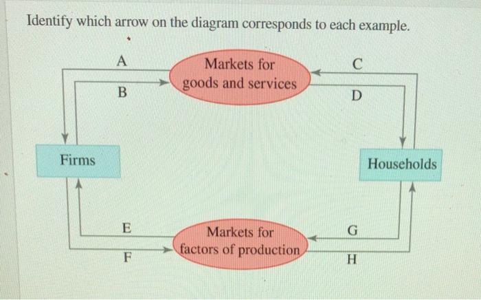 Solved Identify which arrow on the diagram corresponds to | Chegg.com