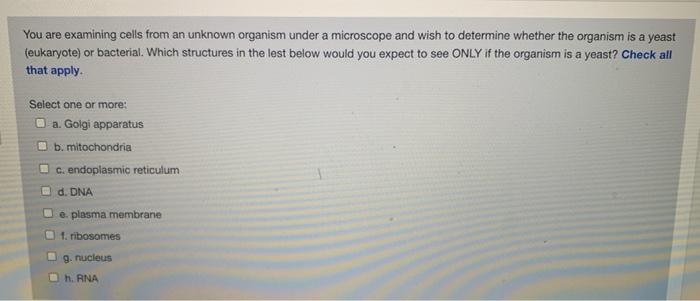 Solved You are examining cells from an unknown organism | Chegg.com
