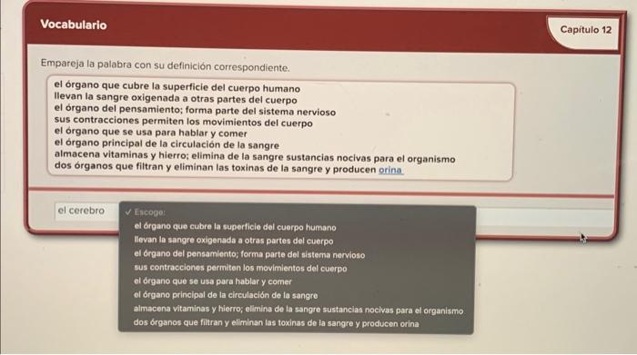 Empareja la palabra con su definición | Chegg.com