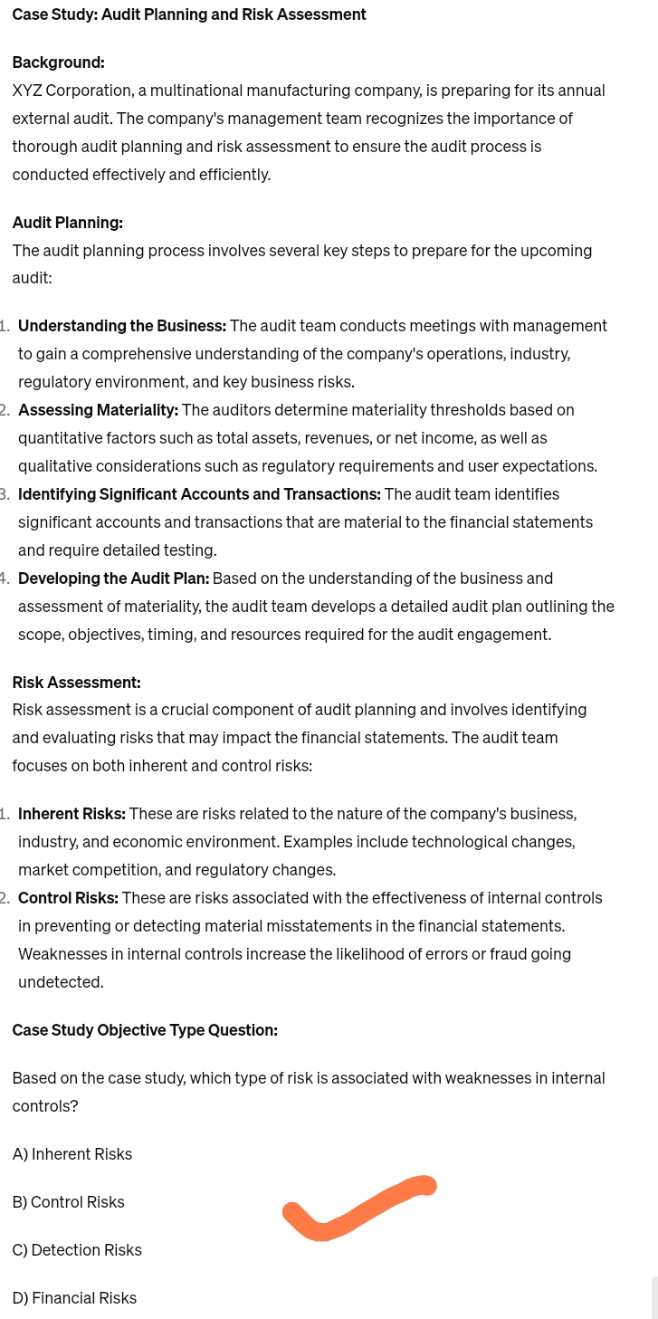 audit planning and risk assessment case study