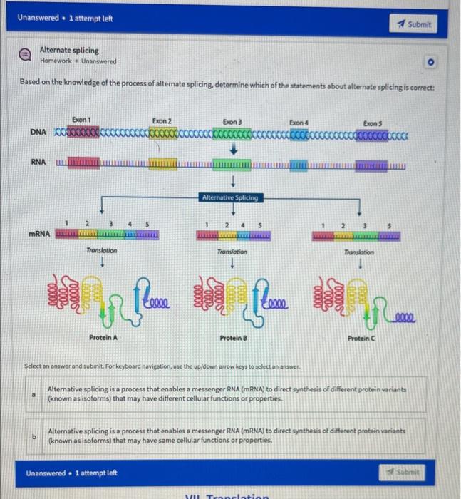 Solved Translation Steps Homework Answered Sort The | Chegg.com