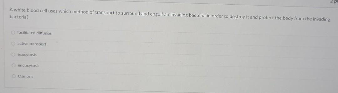 2PA white blood cell uses which method of transport to surround and engulf an invading bacteria in order to destroy it and p