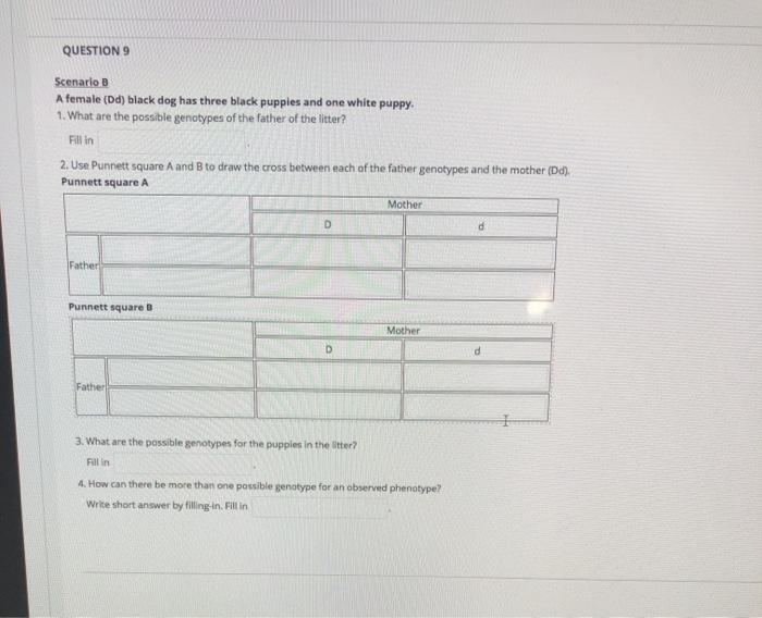 Can More Than One Dog Father A Litter