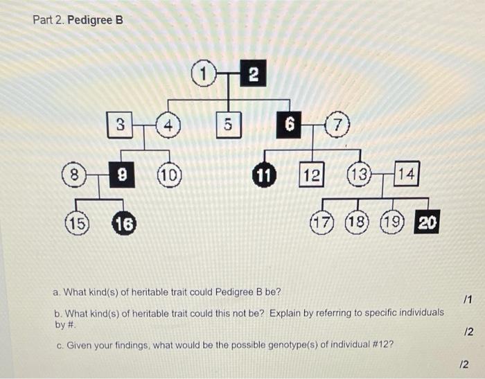 Solved Examine the pedigrees and then answer the questions | Chegg.com