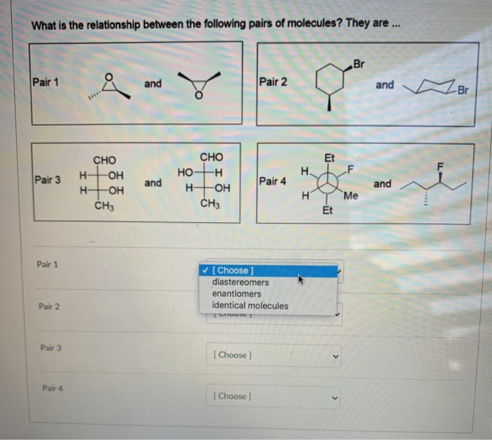 Solved What is the relationship between the following pairs | Chegg.com