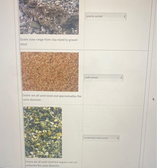 Solved poorlysorted Grains sizes range from claysized to