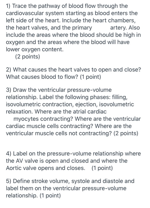 Solved 1) Trace the pathway of blood flow through the | Chegg.com