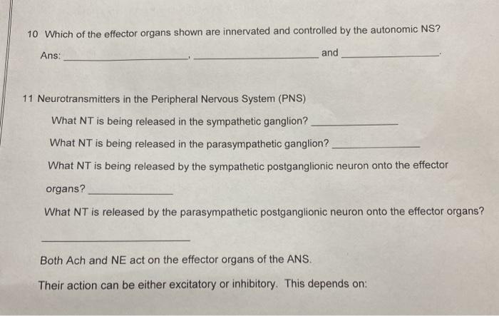 Solved 10 Which of the effector organs shown are innervated | Chegg.com