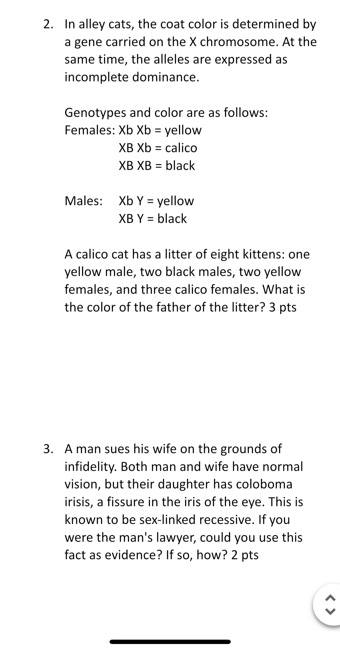 Solved In alley cats, the coat color is determined by a gene