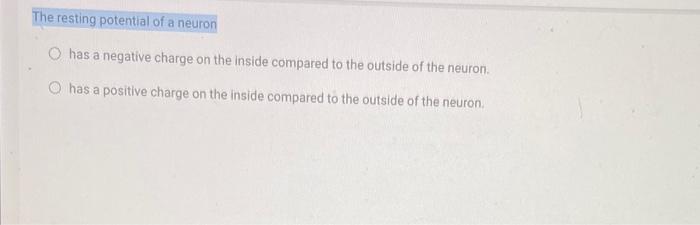 the resting potential of a neuron is negative because