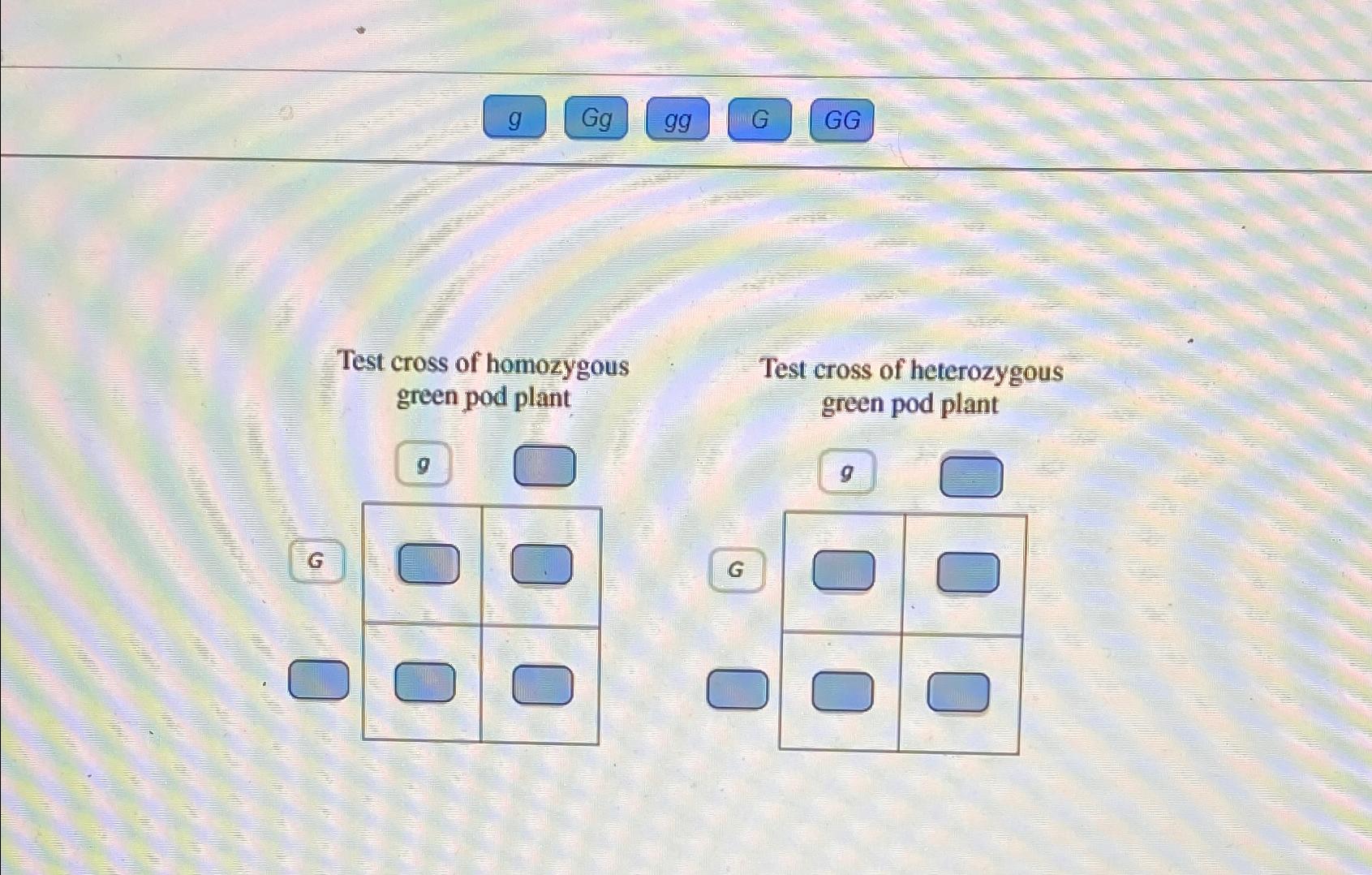 Solved gGgggGGGTest cross of homozygous green pod plantgTest | Chegg.com