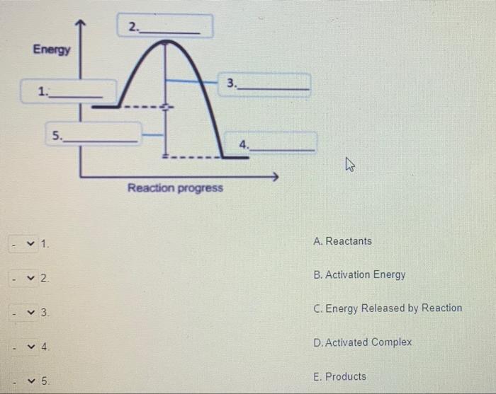 Solved 2. Energy 3. 1. 5. 4. 57 Reaction progress 1. A. | Chegg.com