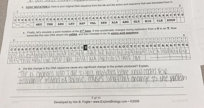 5 8 Point Mutation 3 Here Is Your Original Dna Chegg 