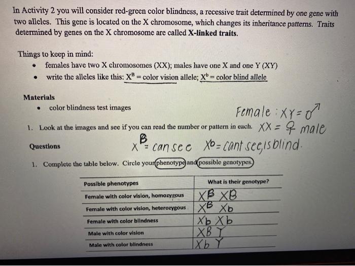 Solved In Activity 2 You Will Consider Red Green Color Bl Chegg Com