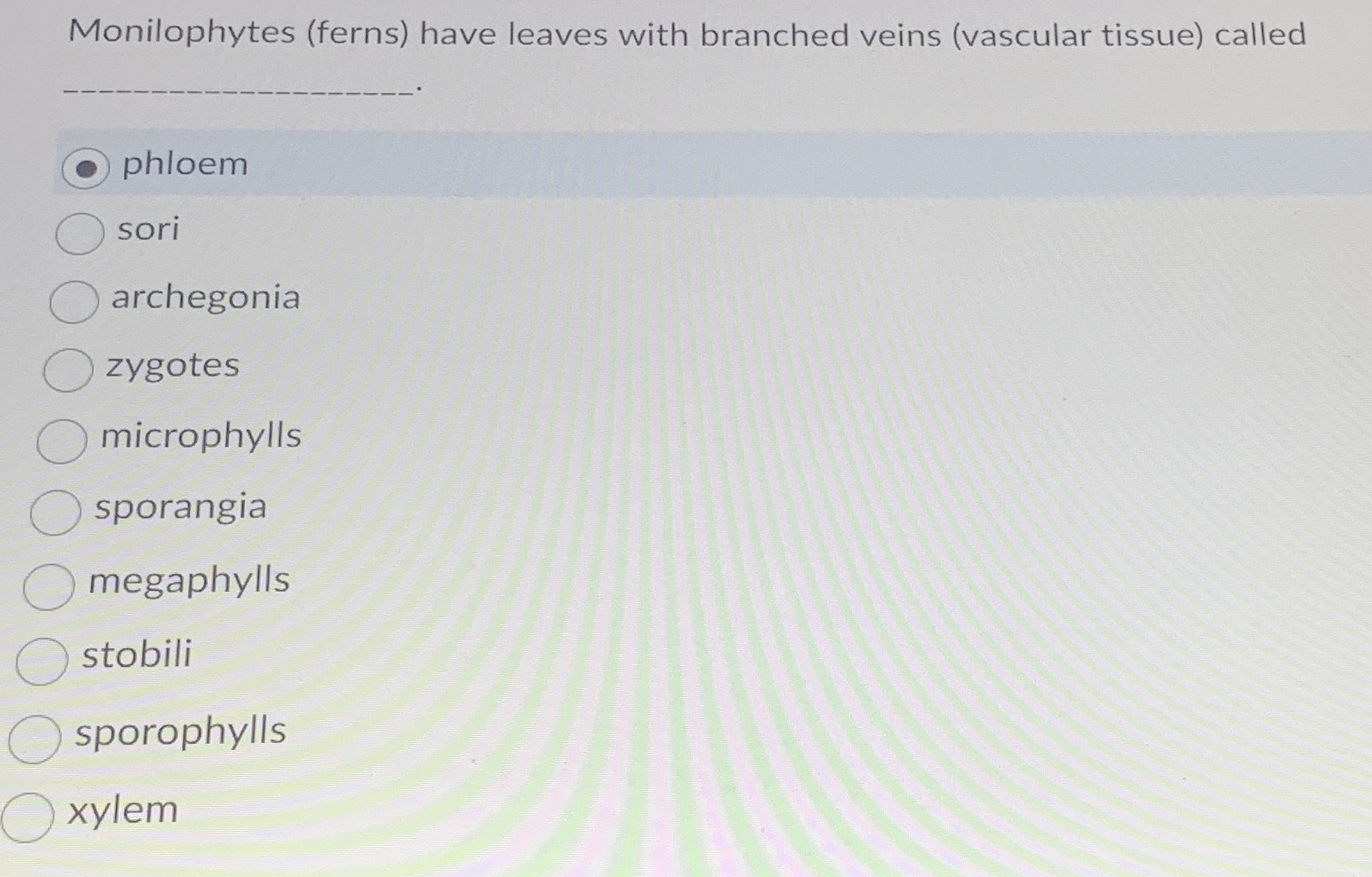 Solved Monilophytes (ferns) ﻿have leaves with branched veins Chegg