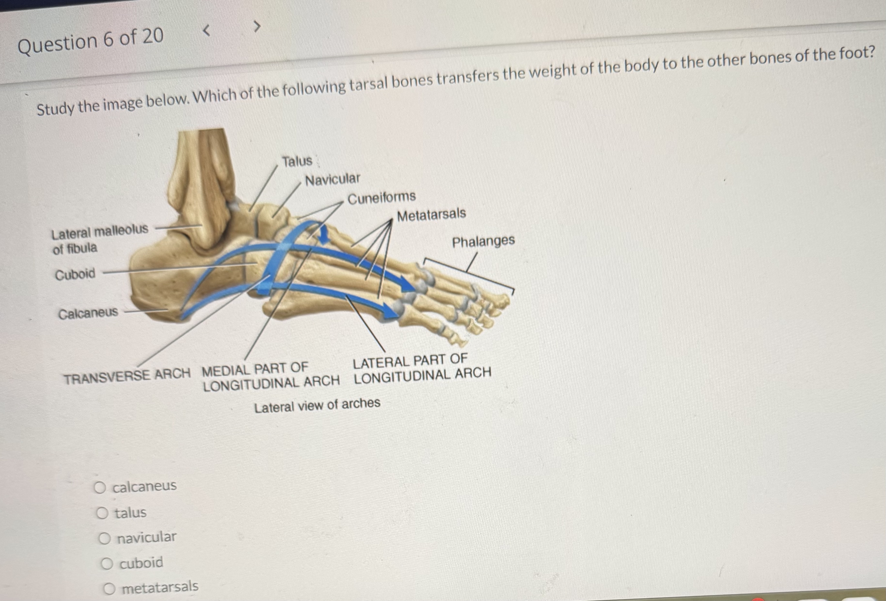 Question 6 ﻿of 20Study the image below. Which of the | Chegg.com
